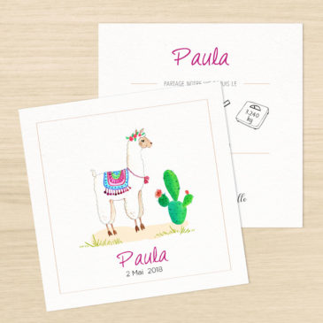 Faire-part de naissance « Alpaga »